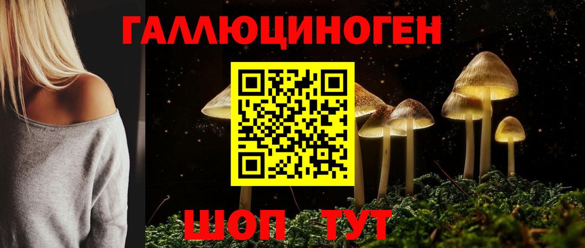 Галлюциногенные грибы мицелий  Галлюциногенные грибы Cubensis  как найти наркотики  Вход с VPN  Ишимбай 